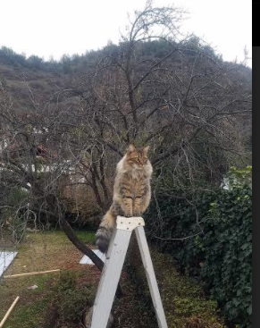 _女子单打决赛：新科冠军耀眼登场_，女子单打决赛2021