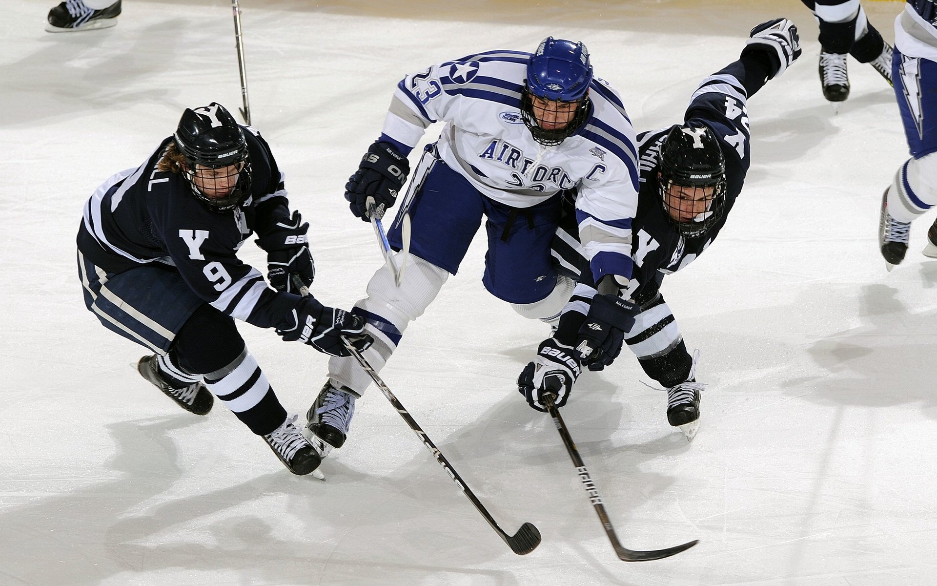 _奇才攻防兼备,排名持续提升_,奇才技能是什么
