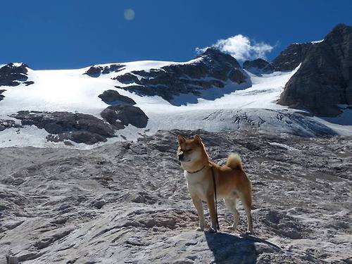 _科技助力：VR虚拟实境体验全景赛事_，vr虚拟现实比赛