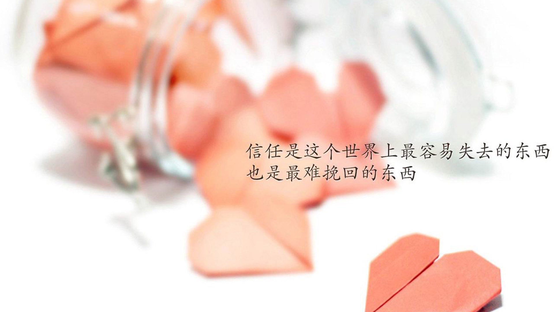 _青少年卡丁车大赛：速度与激情的赛场_，全国青少年卡丁车锦标赛