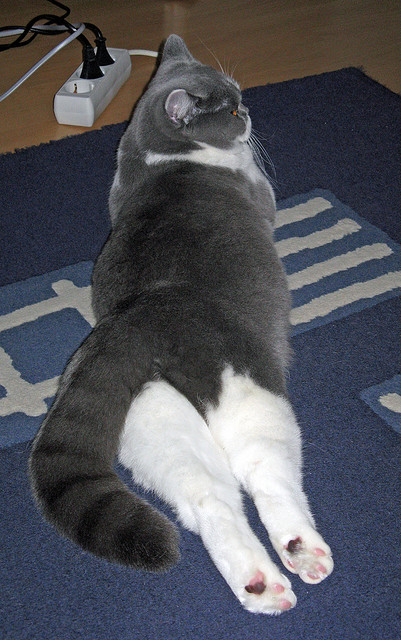 《Valorant国际邀请赛，主播助阵引爆现场》，valorant比赛官网