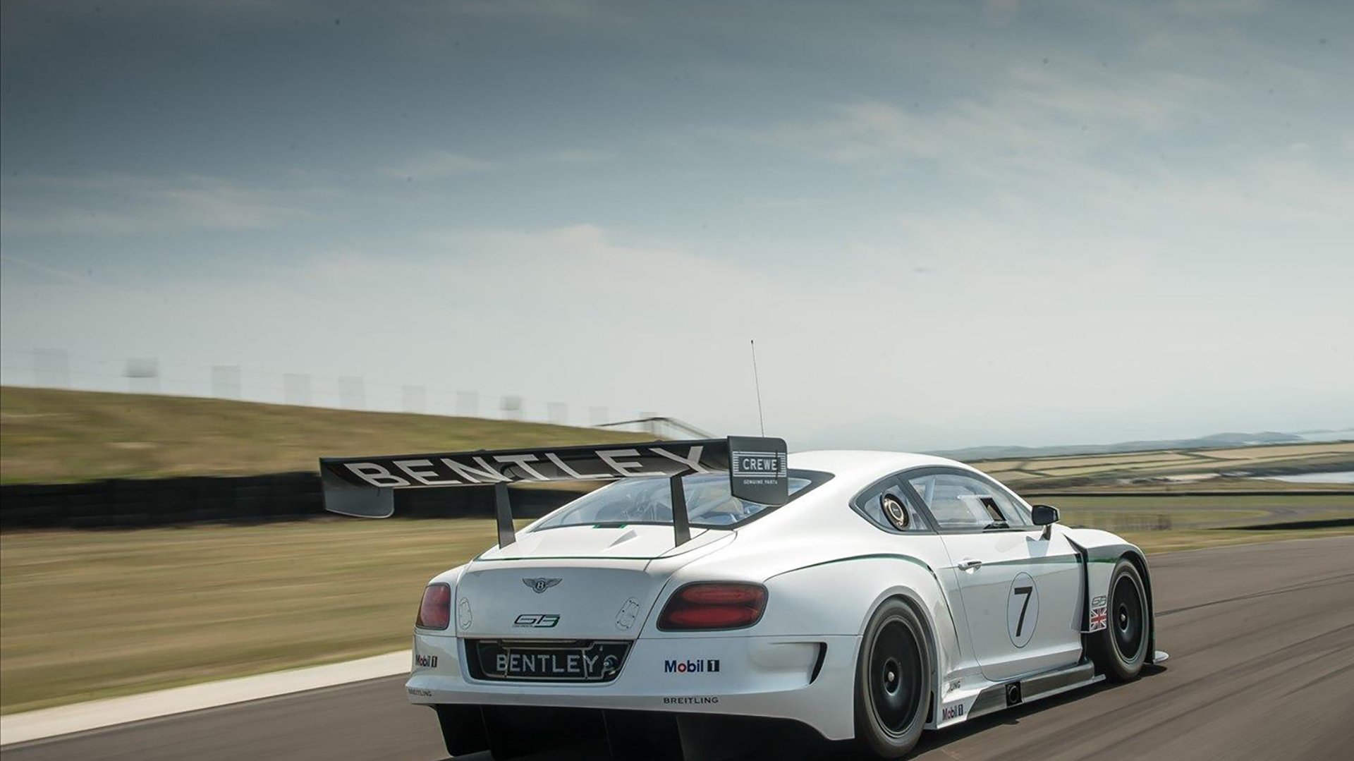 夜空下的高空秋千体验，挑战勇气的极限，高空秋千在哪里