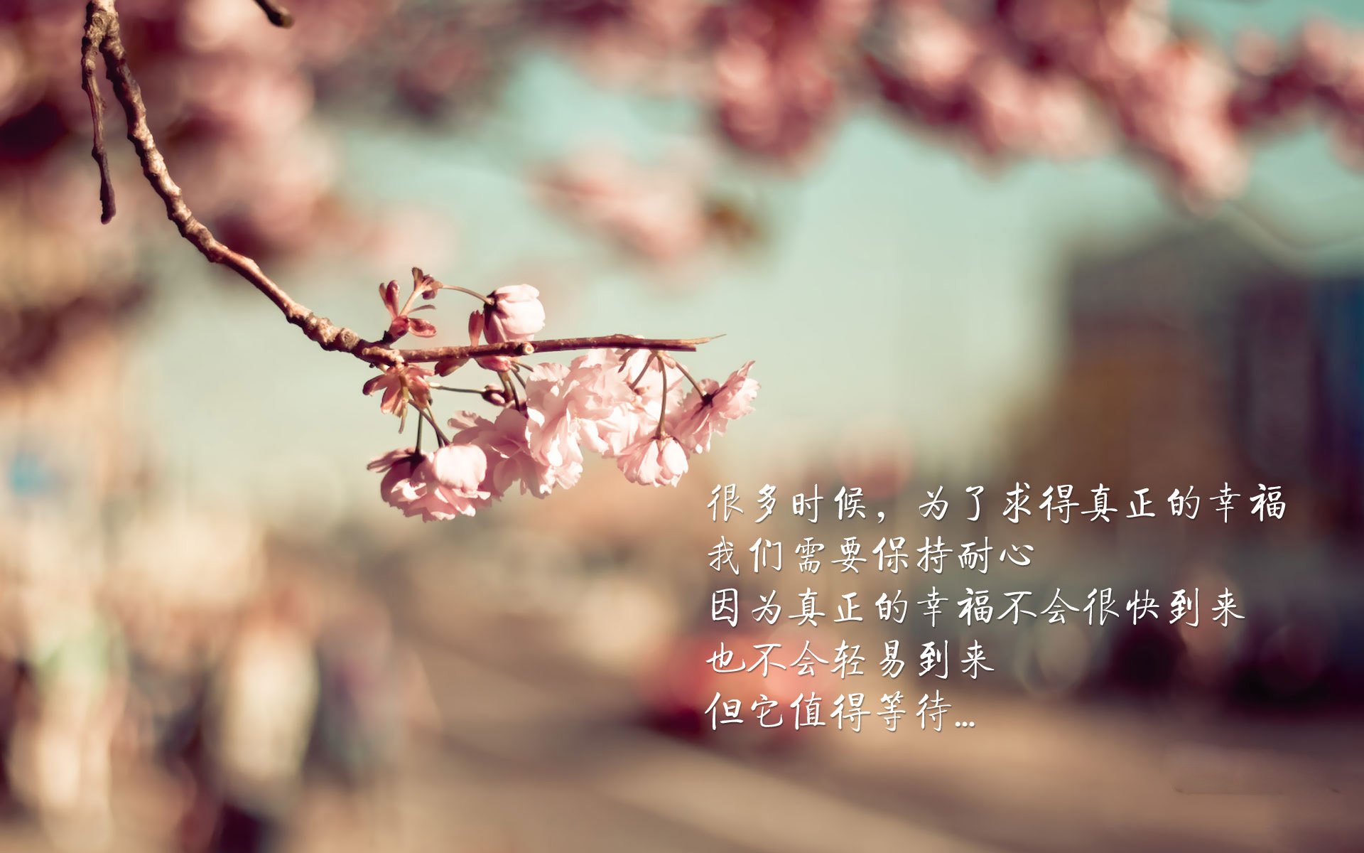 恩比德续约消息尘埃落定,球队未来充满信心,恩比德合同有球员选项吗