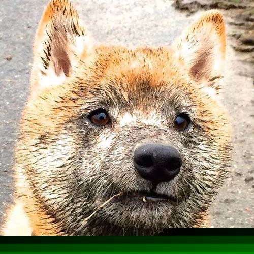 开云体育官方app-未来联盟：会不会出现“虚拟球员”引发激烈讨论？，未来联盟巨星