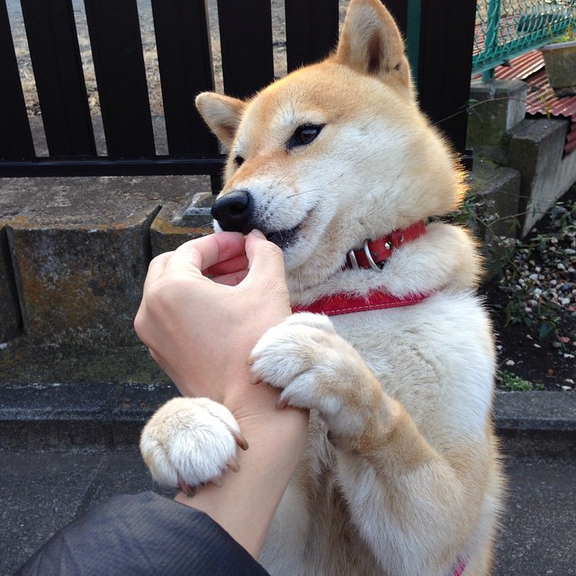 开云体育下载-特色篮球文化社区建设，推动全民健身潮流，篮球区文化主题