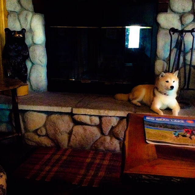 开云体育客户端-青少年“未来之星”特别训练营在哈尔滨开启，培养具备国际水平的选手