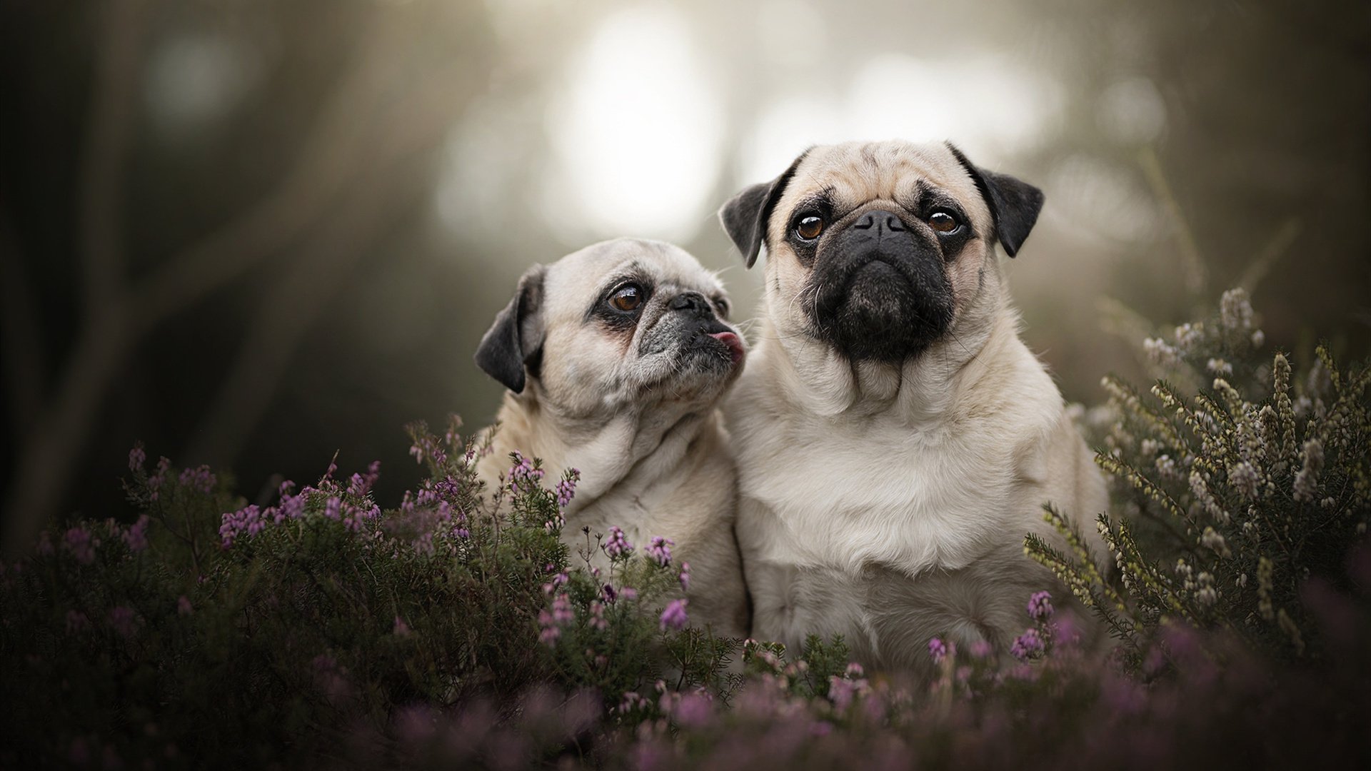 开云体育app安全下载-TL与日韩俱乐部展开战术交流