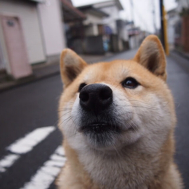 五后卫阵型是否正在取代经典四后卫体系,五后卫阵型是否正在取代经典四后卫体系了
