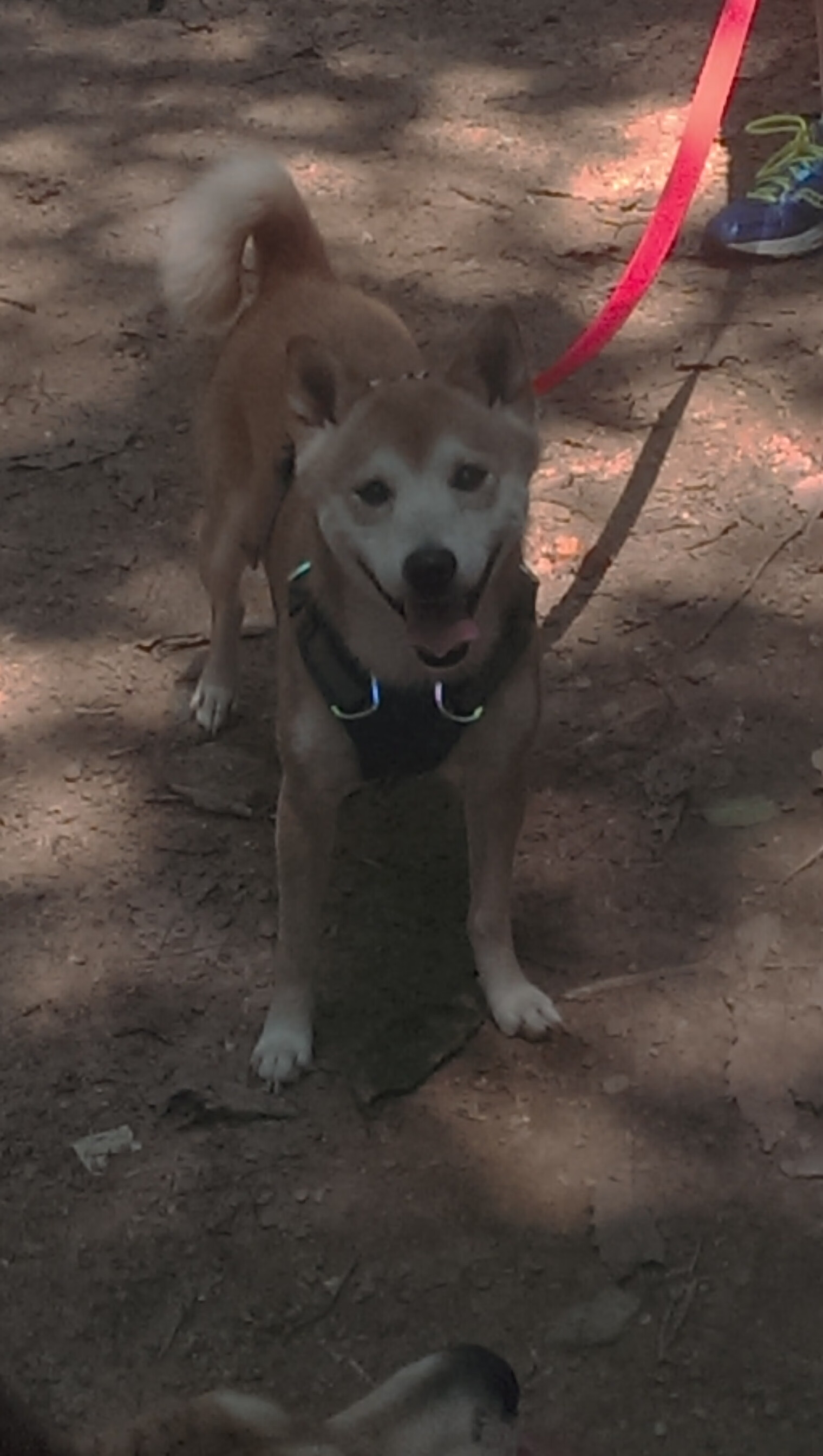 开云体育官方网站-柏林赫塔在主场迎战强敌，全队备战状态良好，柏林赫塔新球场效果图