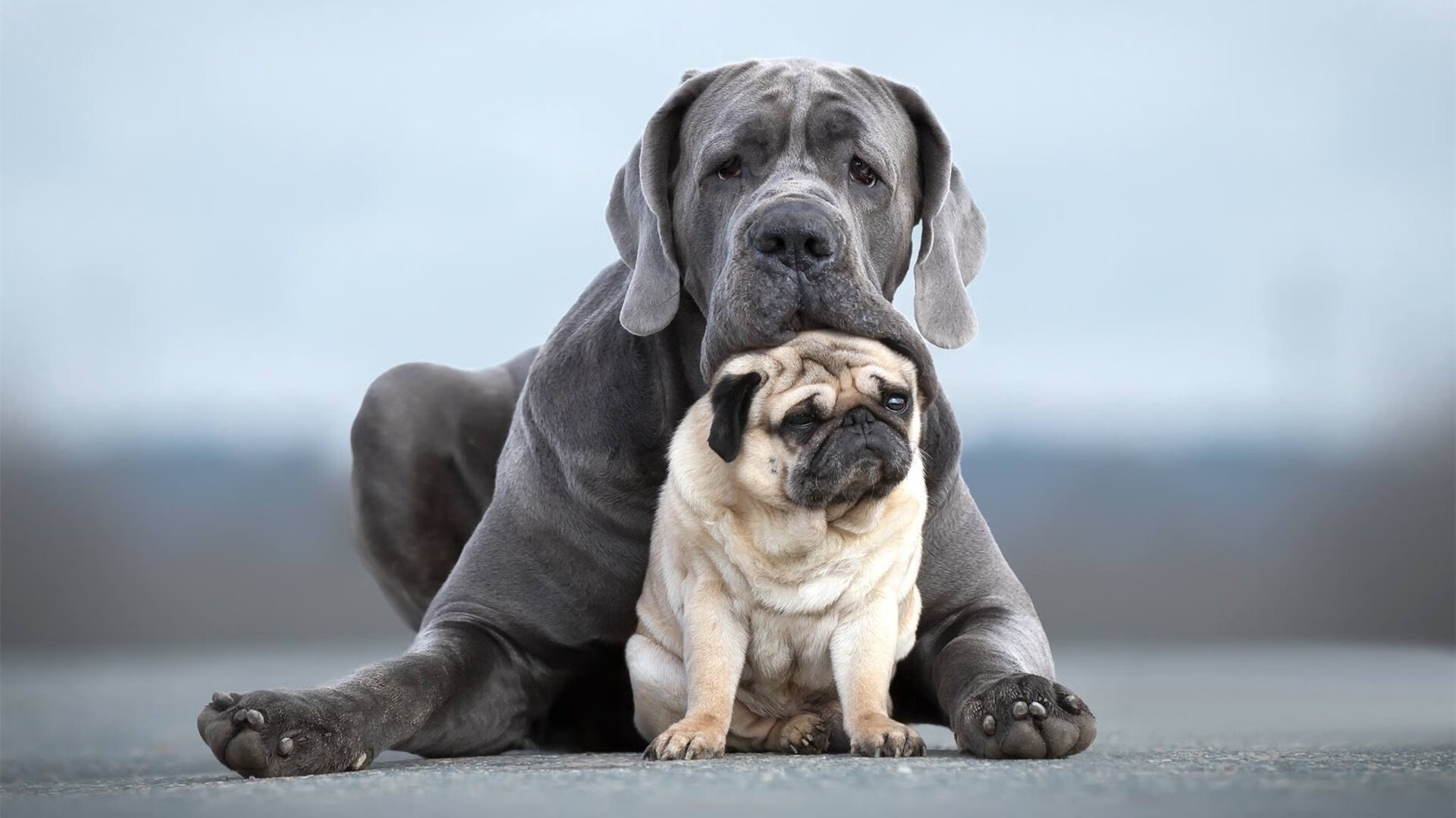 -新闻中心举办行业交流论坛，行业论坛发言稿