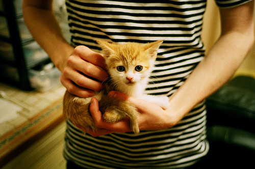 意甲青训引入心理韧性训练提升球员抗压能力，意甲情怀