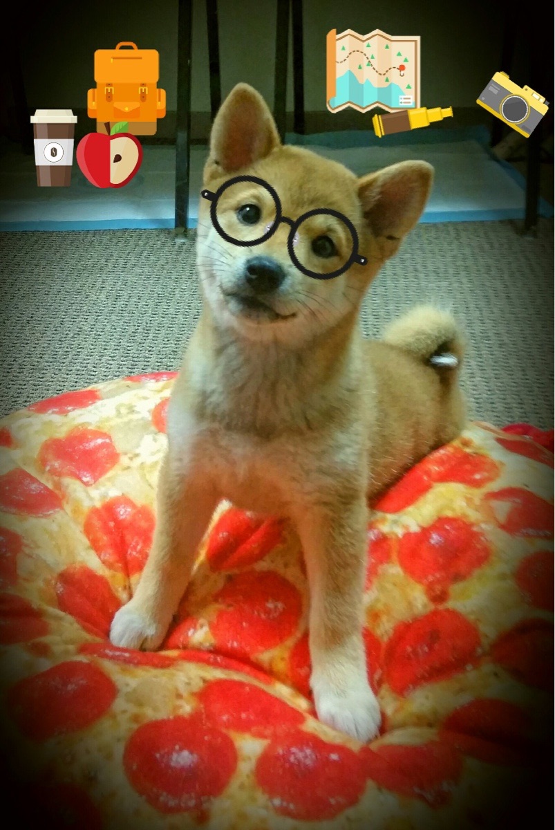 联赛倒数：争冠与保级悬念逐步升级，联赛冠军怎么产生