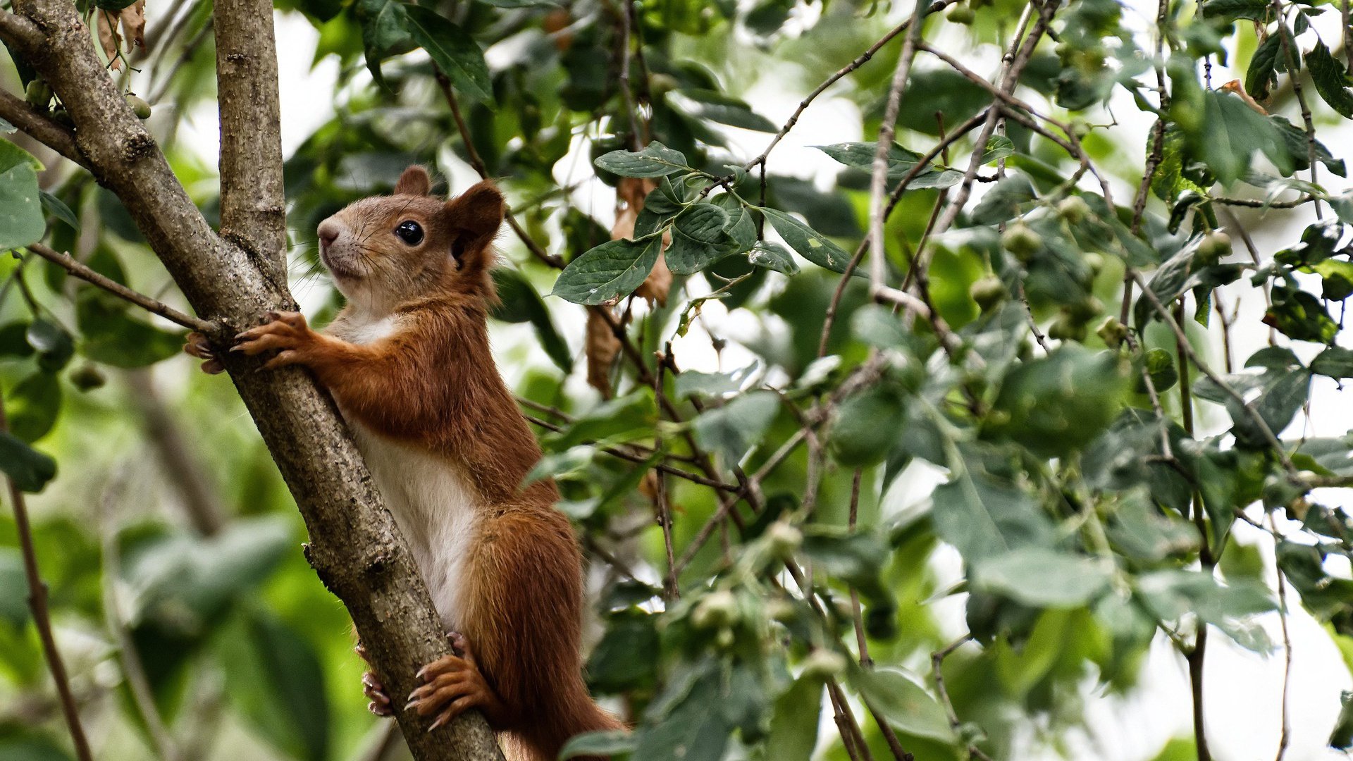 中小学体育校队管理制度逐步完善,小学体育校队训练方案