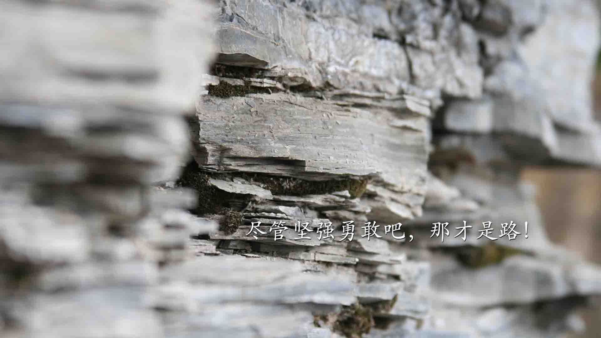 中国篮球整体风格趋向现代化快节奏成新趋势,中国篮球体系