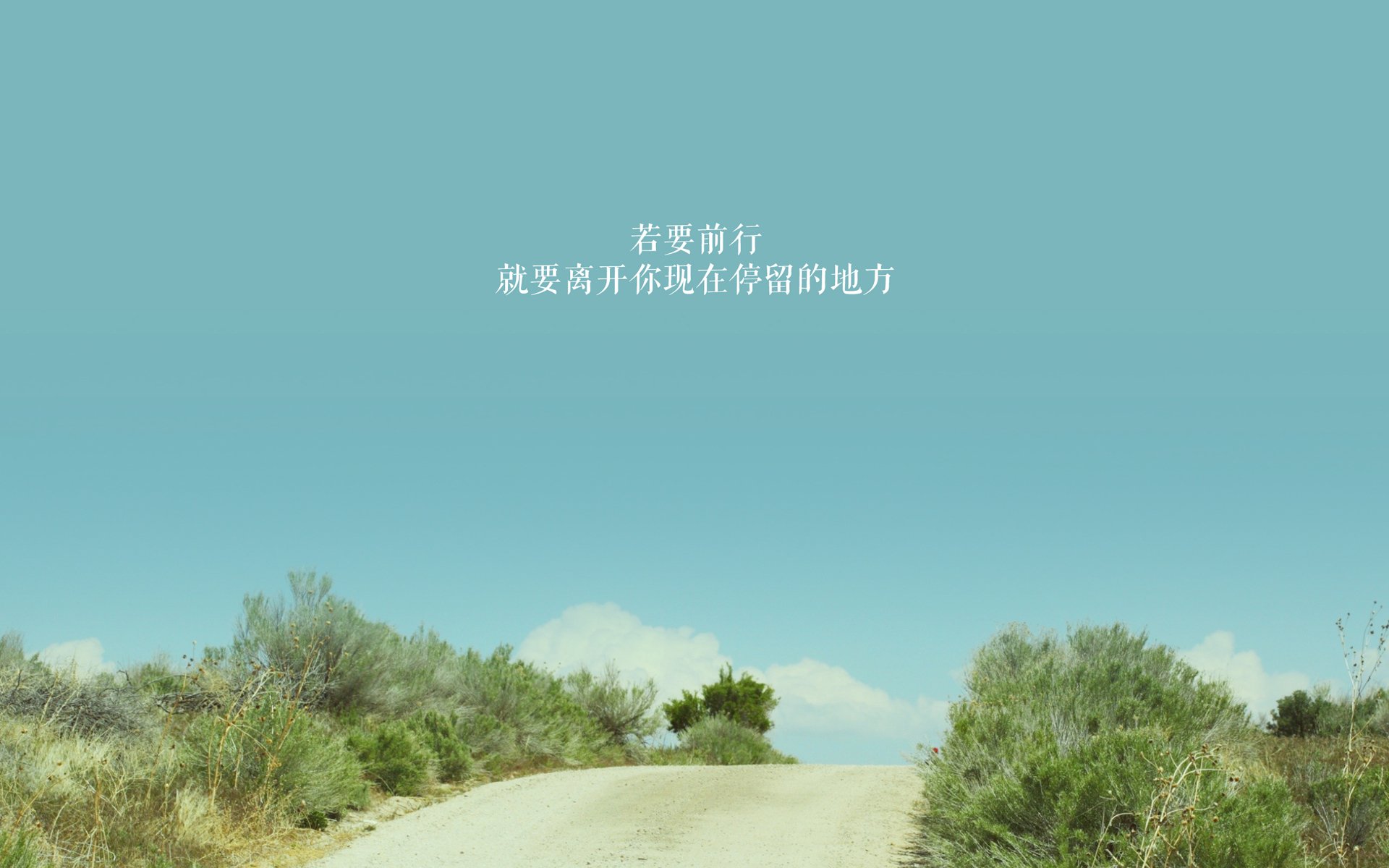 开云体育平台-佛罗伦萨边锋表现出色打破僵持局面，佛罗伦萨新帅