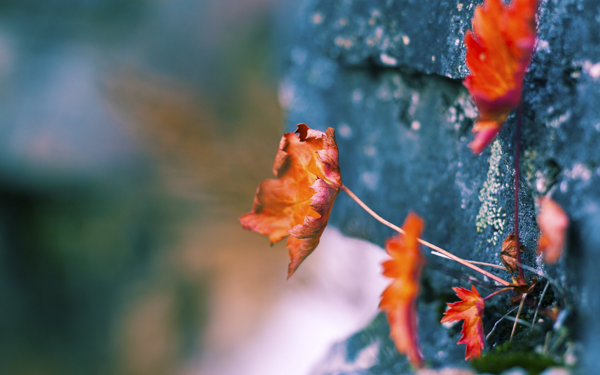 博卡攻防转换慢,屡遭反击,博卡官方网站