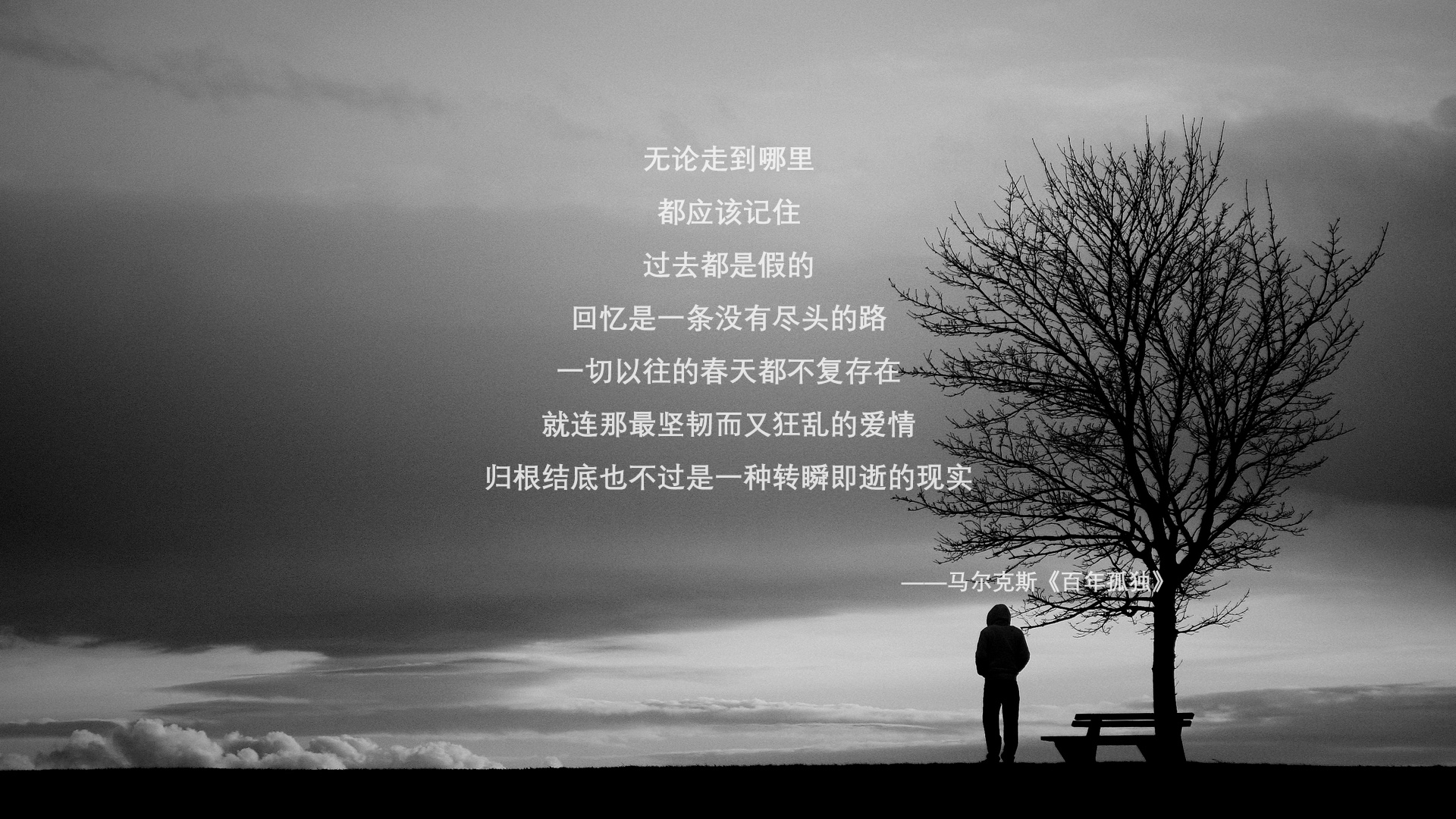 加拿大队赛制评估:如何通过赛制安排提升战术执行力与配合,加拿大队首发